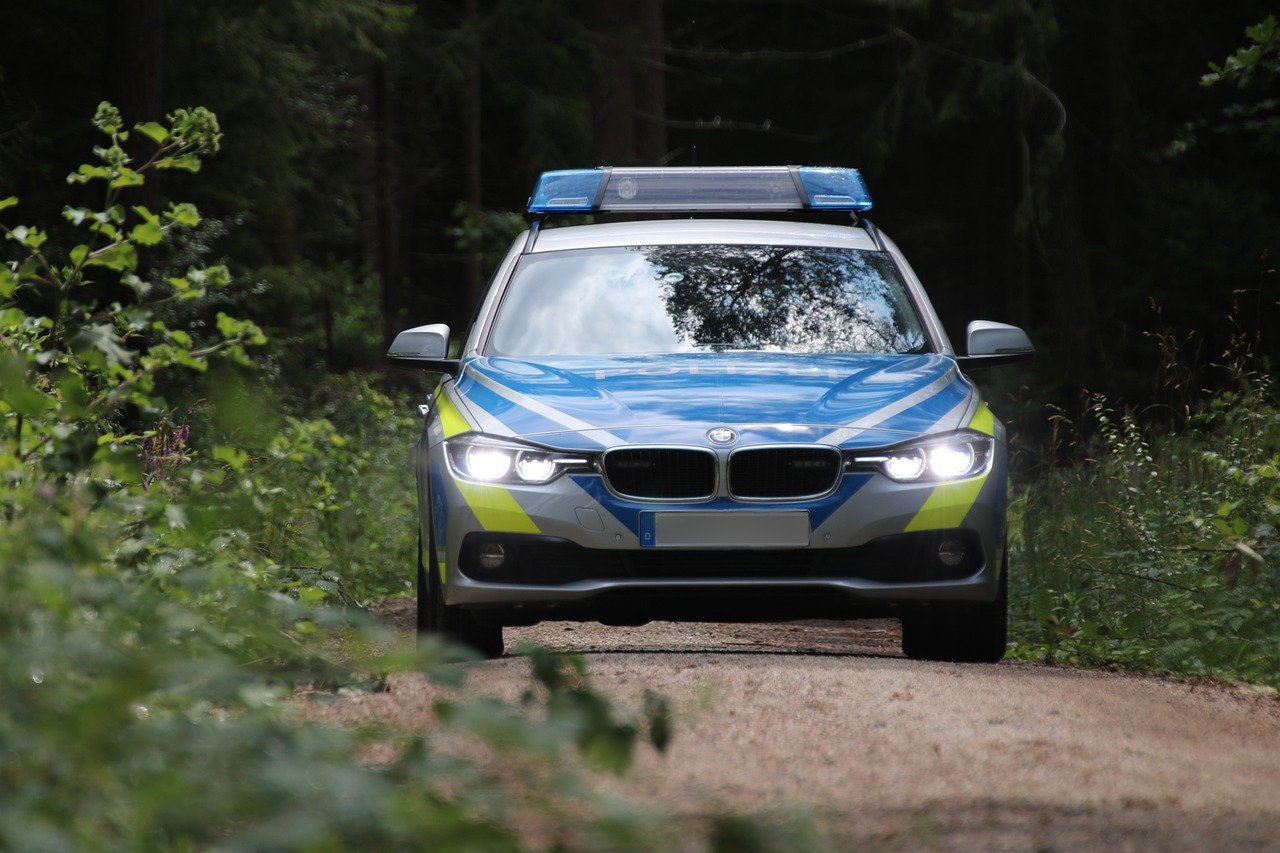 Unfallverursacher lässt verletztes Reh zurück