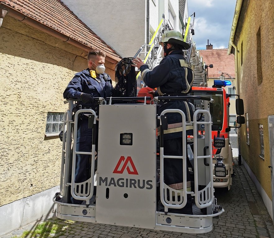 Tier in Not: Polizei und Feuerwehr rücken aus