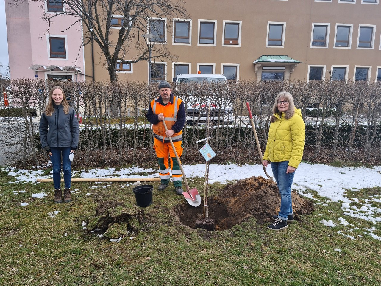 Kulturapfel am kulturellen Zentrum