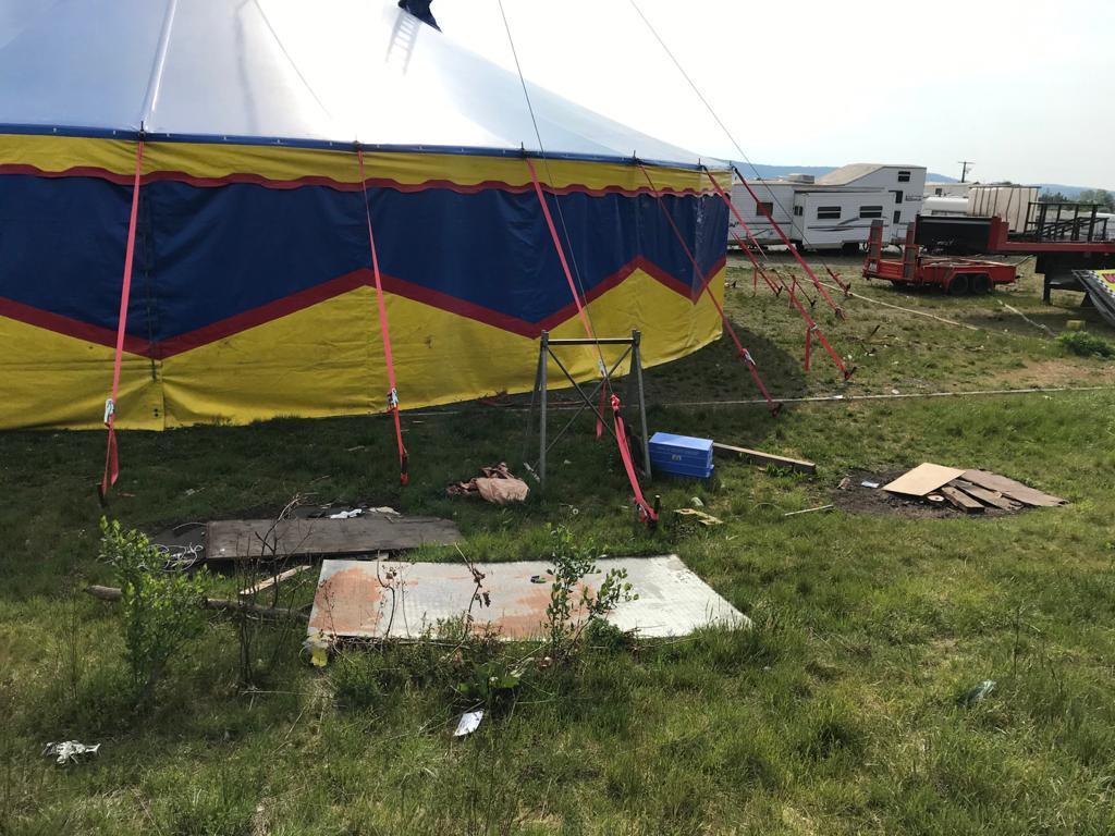 Gastfreundschaft nicht überstrapazieren: Stadt und Zirkus suchen Lösung