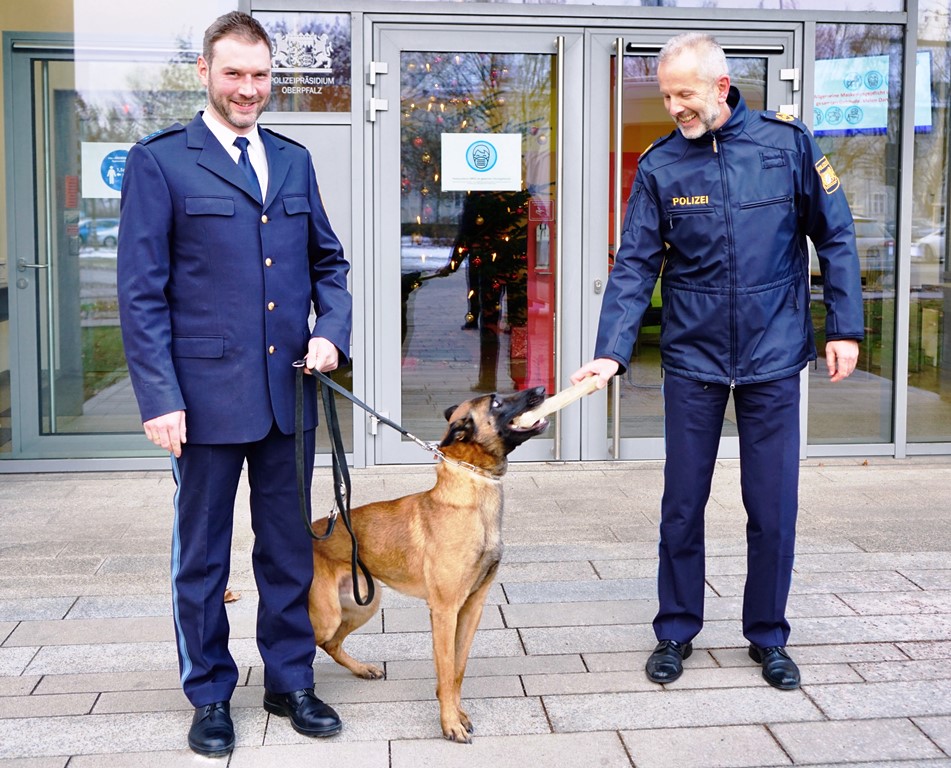 Polizeihund „Ratz“ auf Erfolgstour