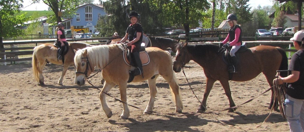 Tierische Abenteuer auf dem Reiterhof