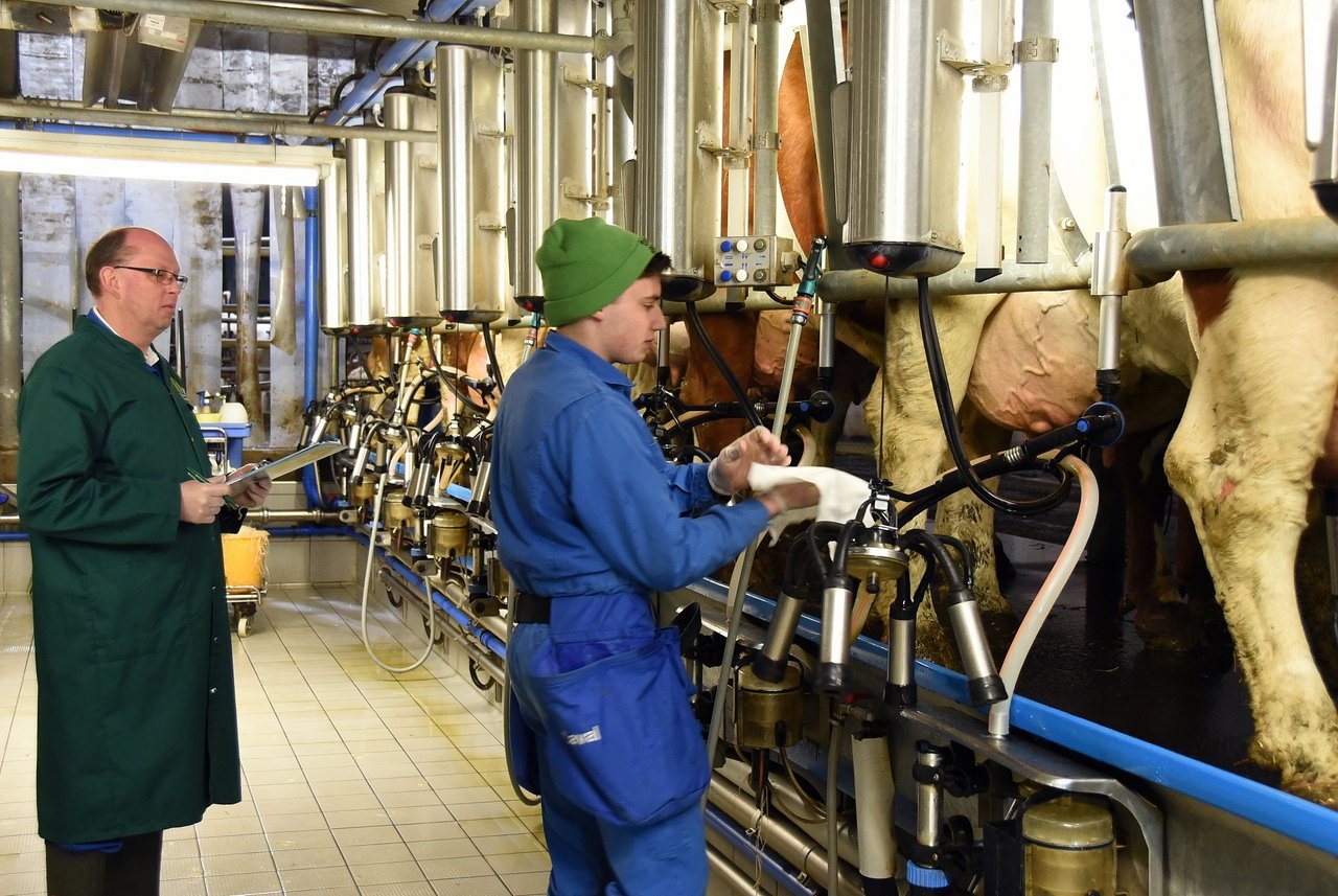 Melk-Profis glänzen beim Landesentscheid