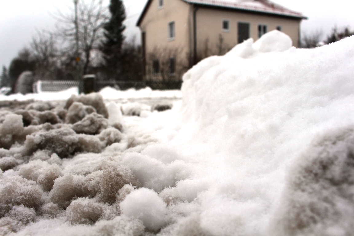 Milchlaster auf Abwegen