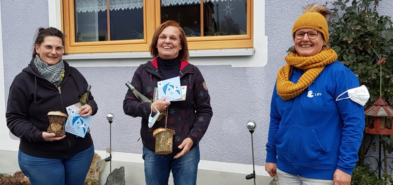„Schwalbenfreudliche“ Häuser in Windischeschenbach