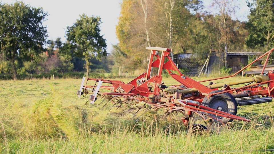 Mysteriöser Geldfund auf Wiese