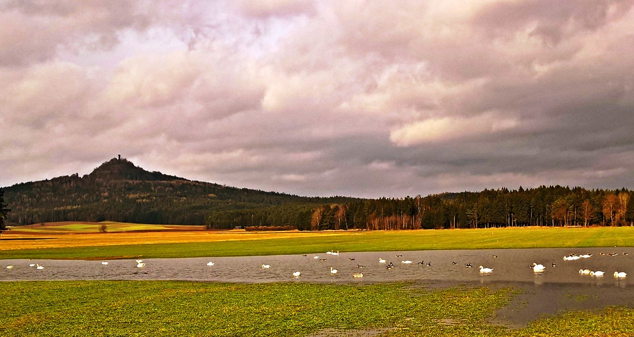 Erste Frühlingsgefühle am Rauhen Kulm: Seid ihr in Frühjahrsstimmung?
