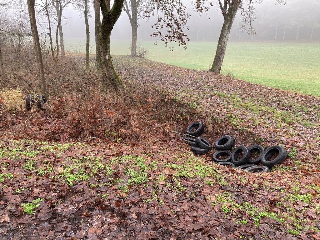 Altreifen im Wald entsorgt – schon wieder!