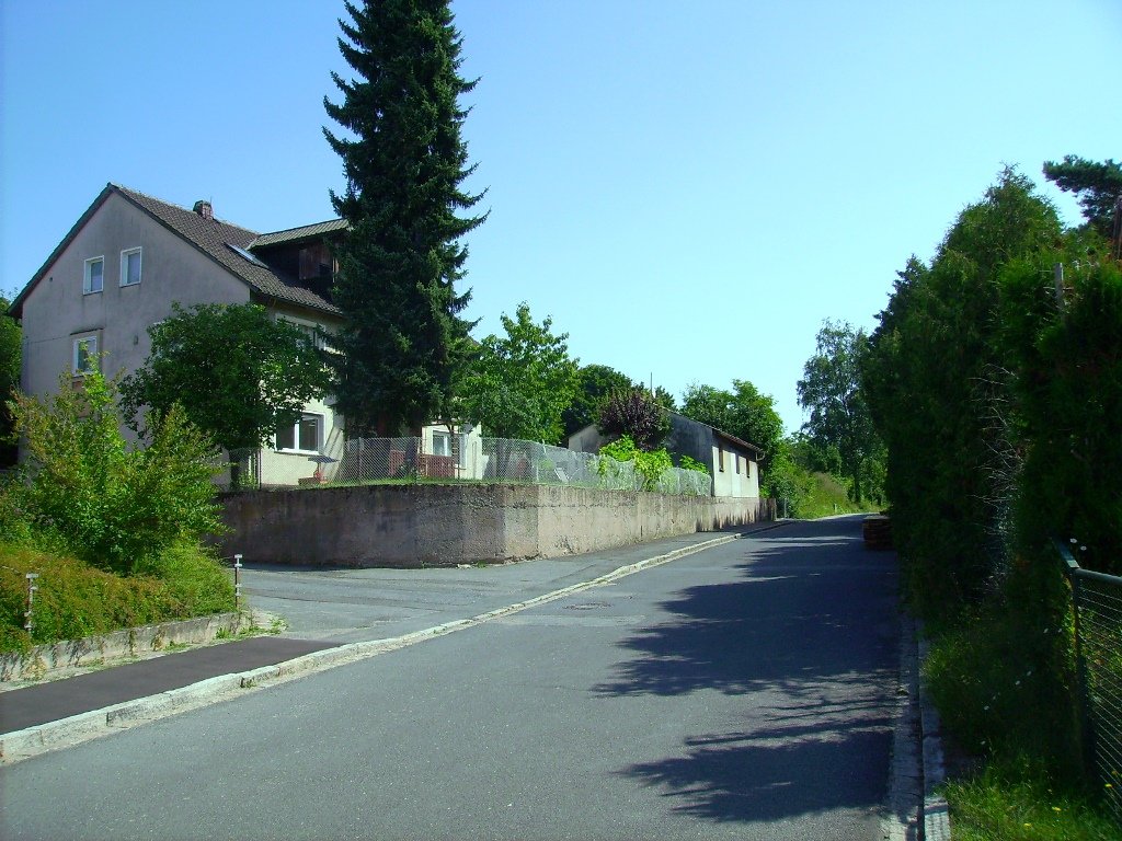 Kolpingstraße: Baumwurzel behinderte Abwasserdurchfluss