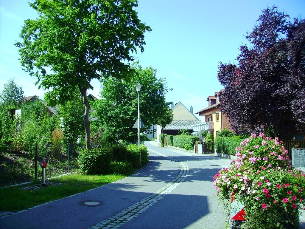 Bürgeretat: Stadtrat muss Prioritäten setzen