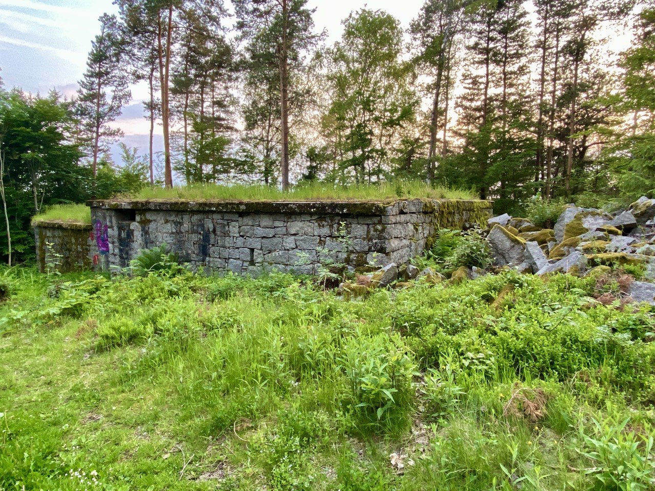 Steinhauerhaus: Ums Haar reißt ein Graben wieder Gräben auf