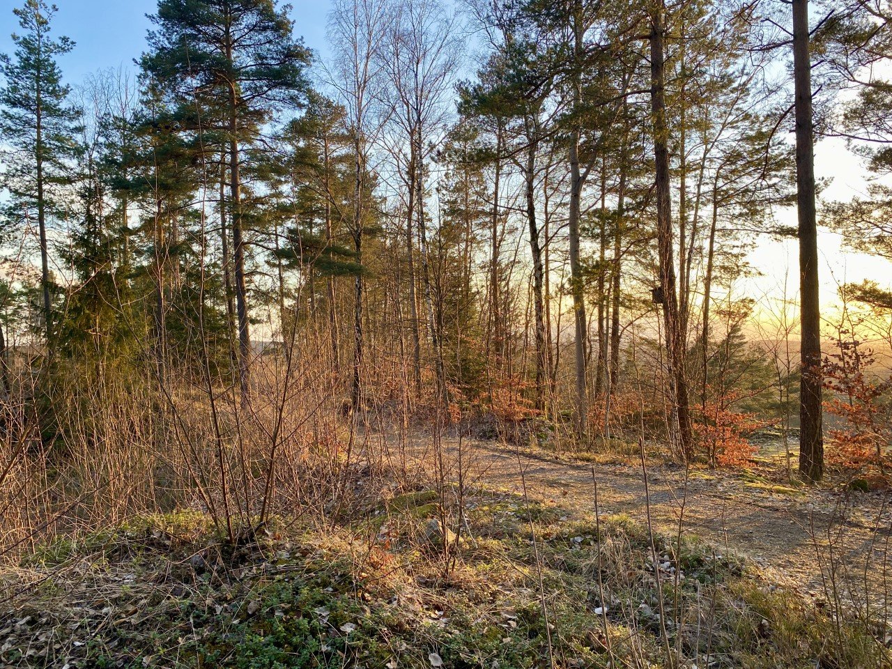 Infostelle am Burgweiher: Architekt Schöberl wirft hin