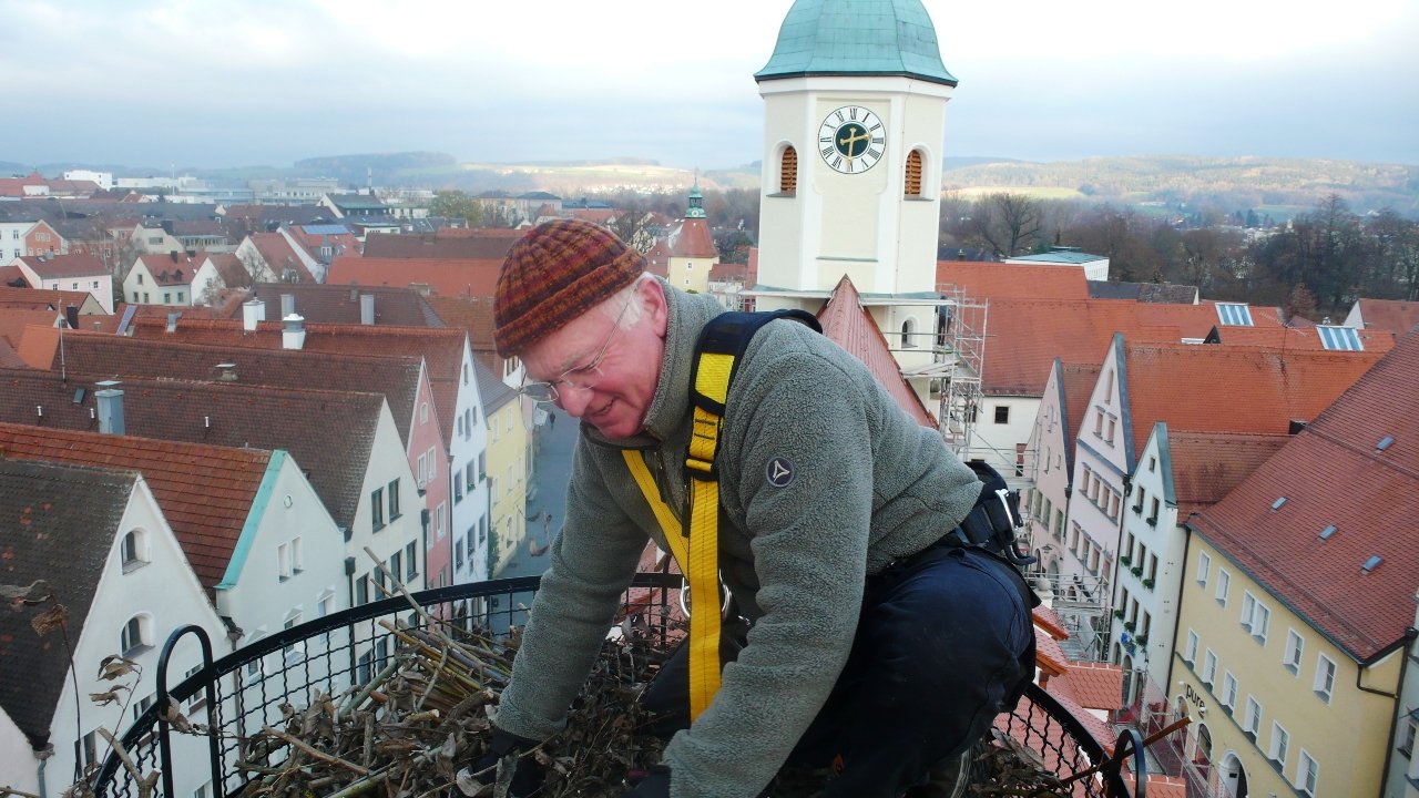 Jetzt wird’s gemütlich: Bald zwei Storchenpaare in Weiden?