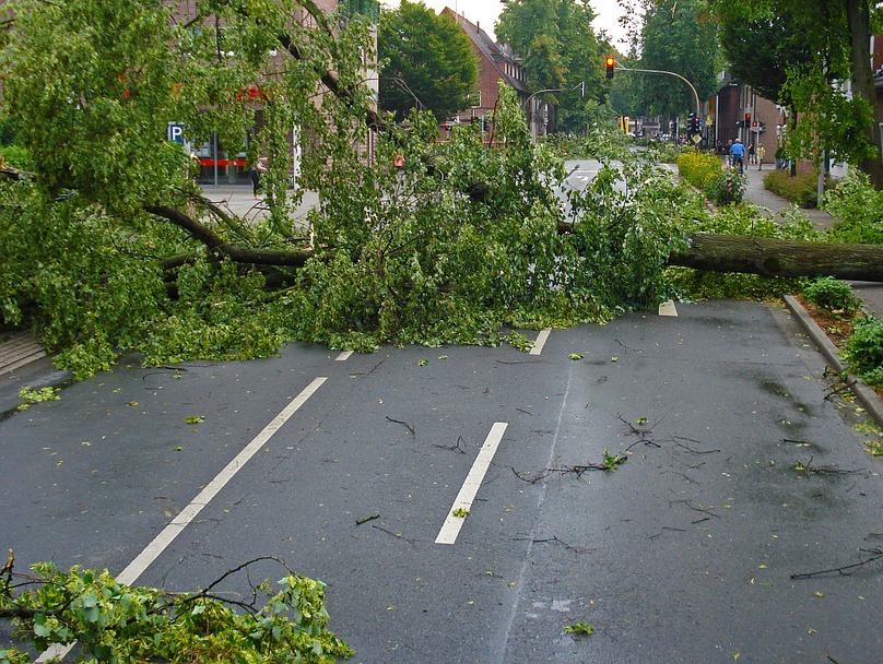 Sturm „Thomas“: Mann kracht gegen umgestürzten Baum