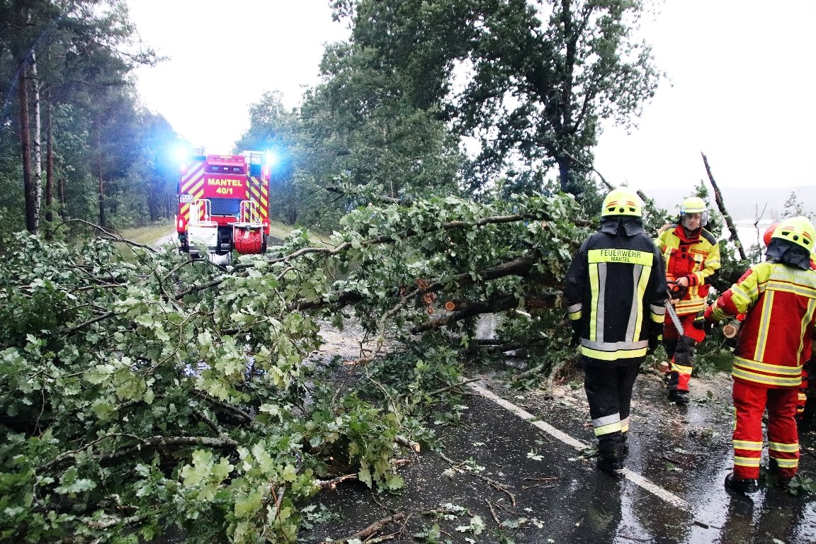 Sturm wütet über Nordoberpfalz: Dach abgedeckt, Baum stürzt auf Haus