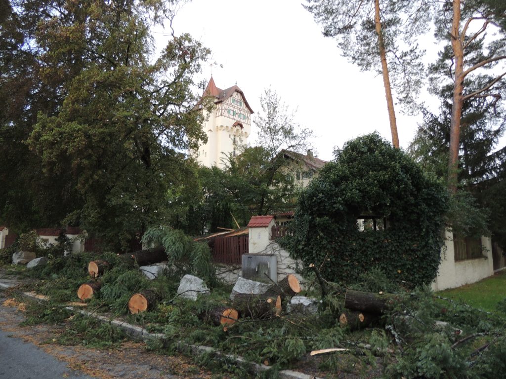 Nach Sturmverwüstung: Helfer leisten Unglaubliches