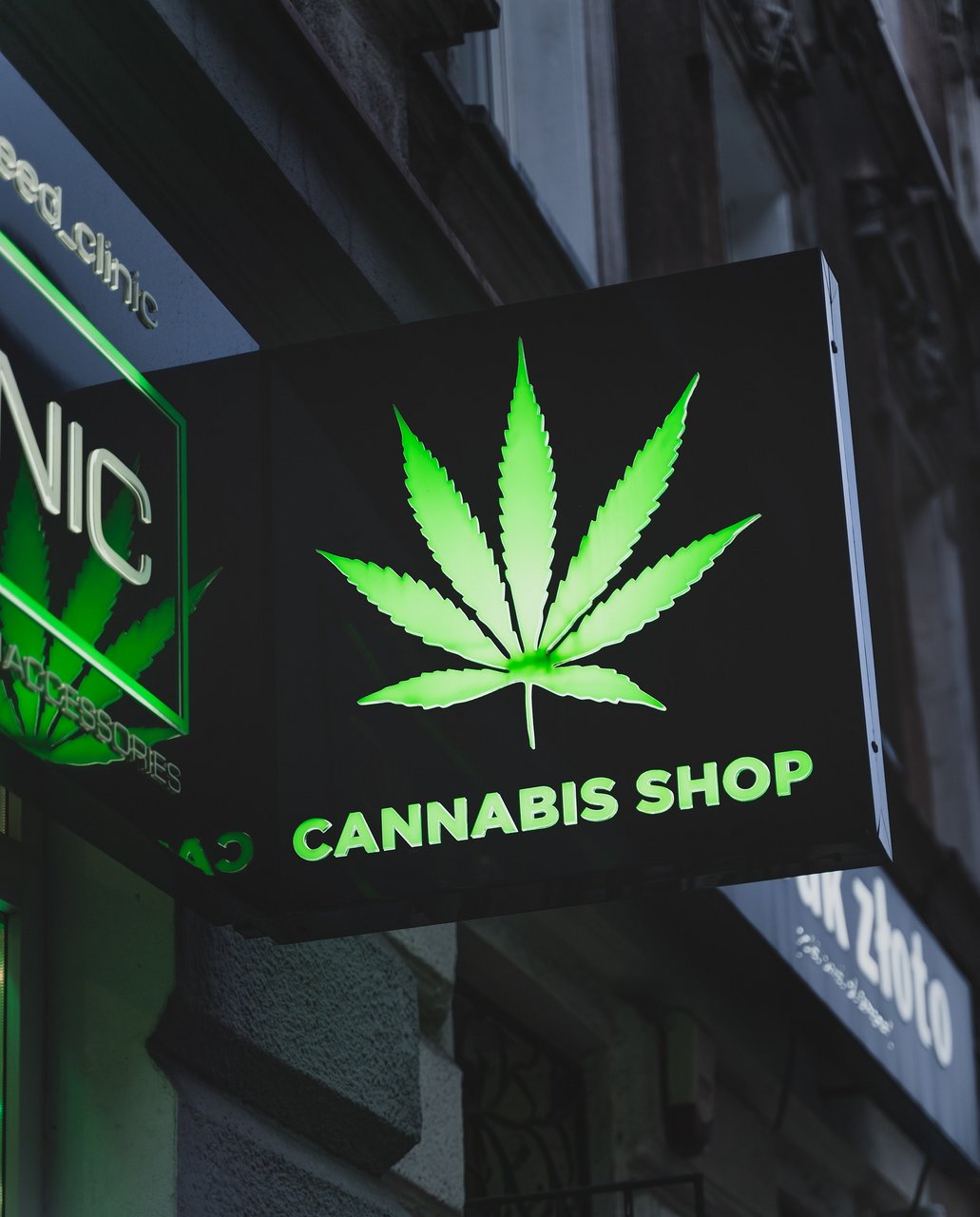 „Nein zu Cannabis“ – Konsum birgt erhebliche Gesundheitsrisiken