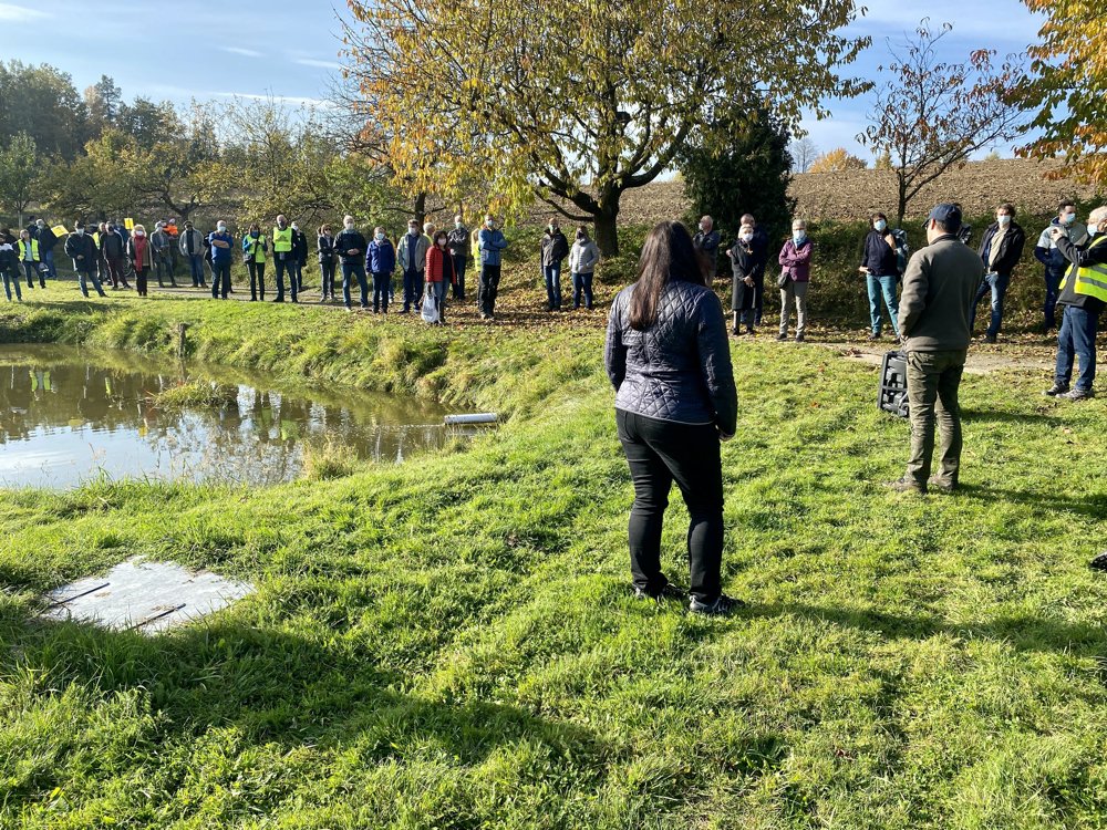 Trassenwanderung: Fische und Regenwürmer mögen keine Hitze
