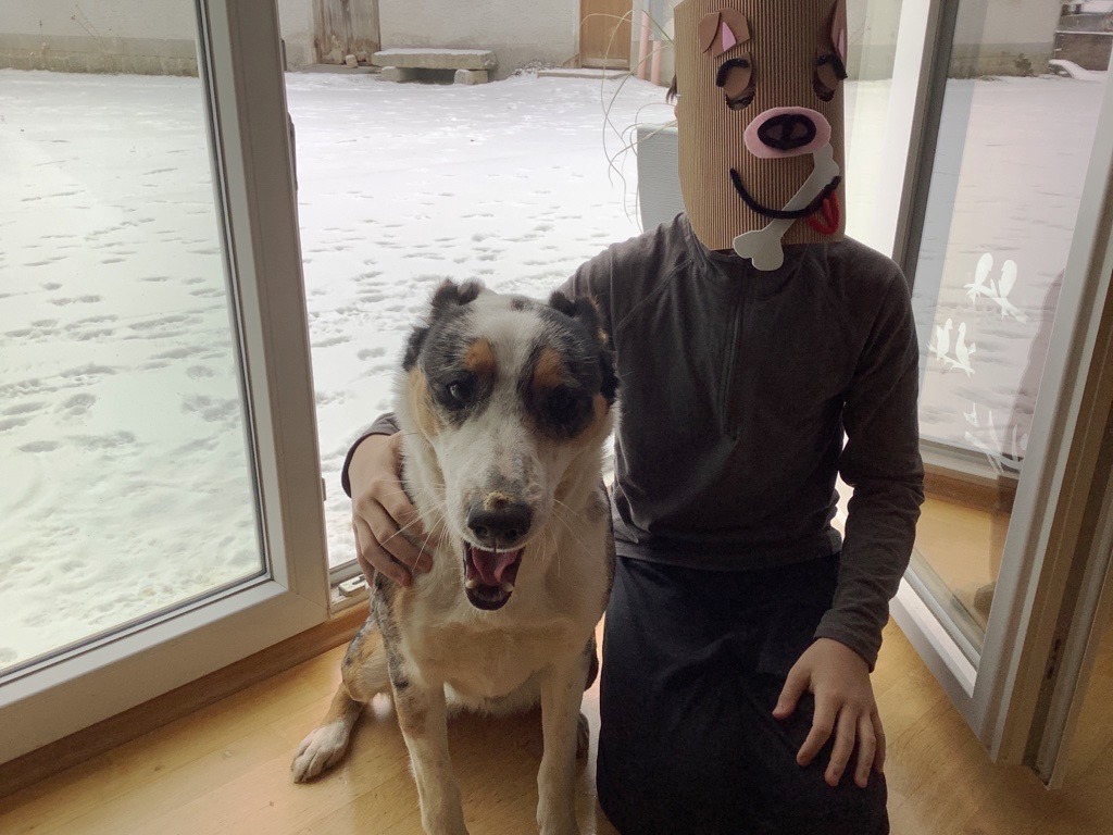 Fasching daham: Kreative Köpfe sorgen für bunte Abwechslung