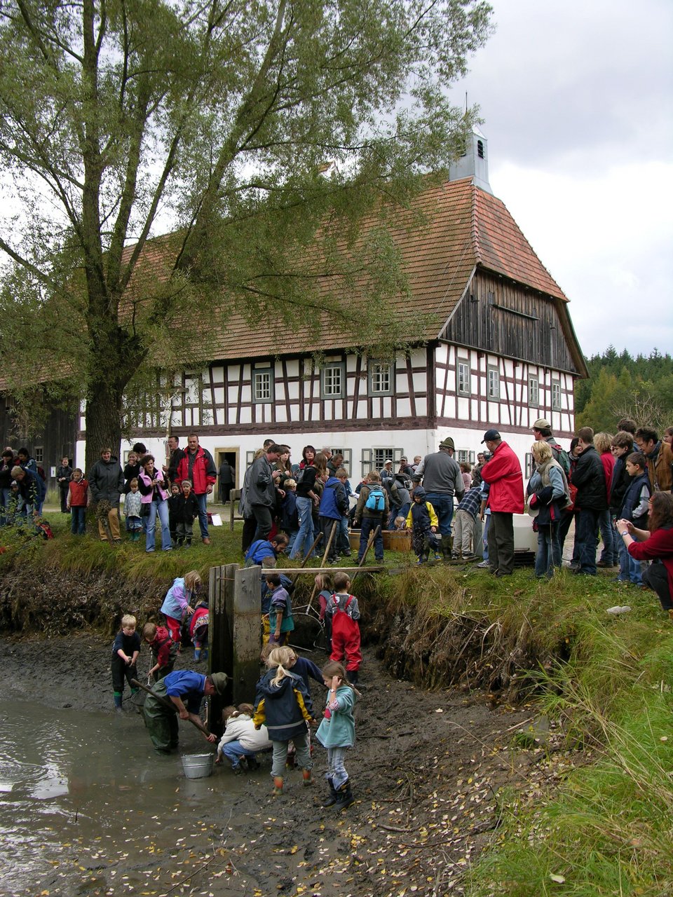 Handwerkertag mit Abfischen der Museumsteiche