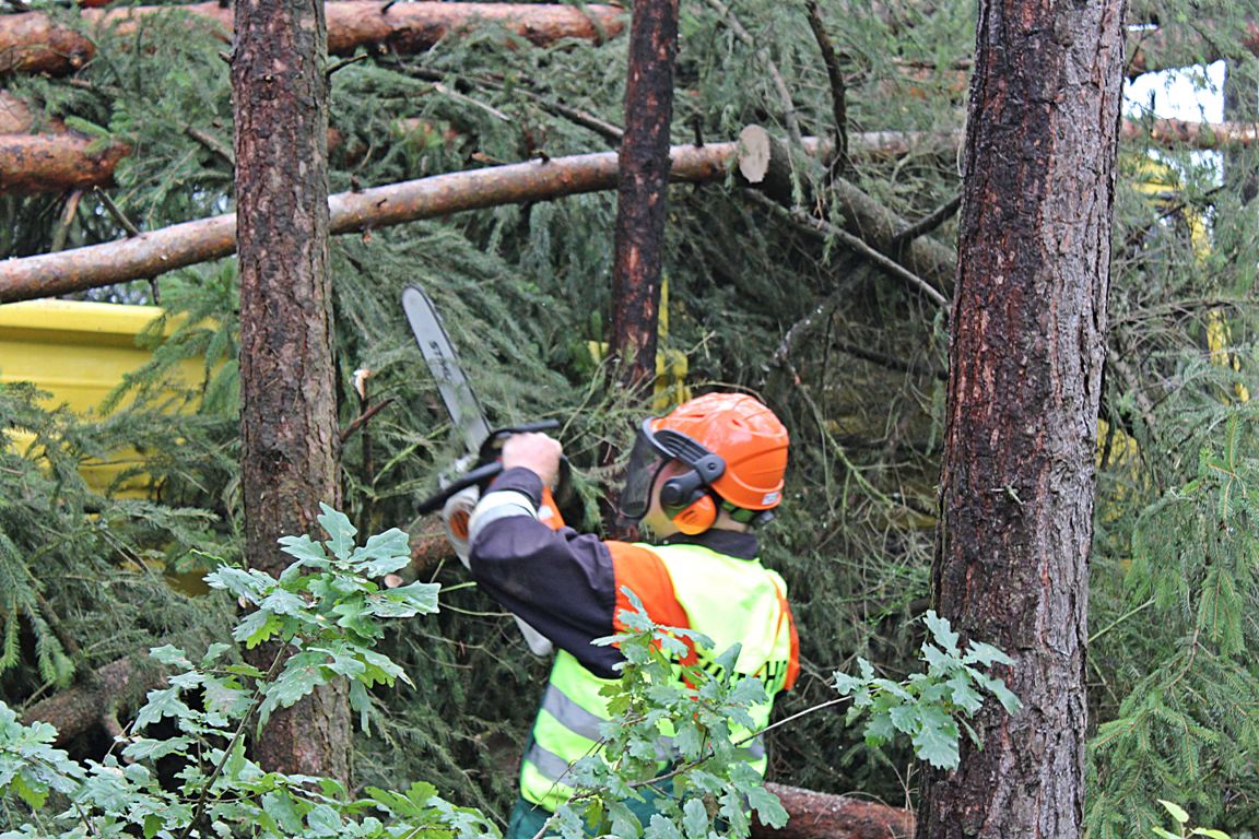Unbekannter bestiehlt Landwirt im Wald innerhalb weniger Minuten