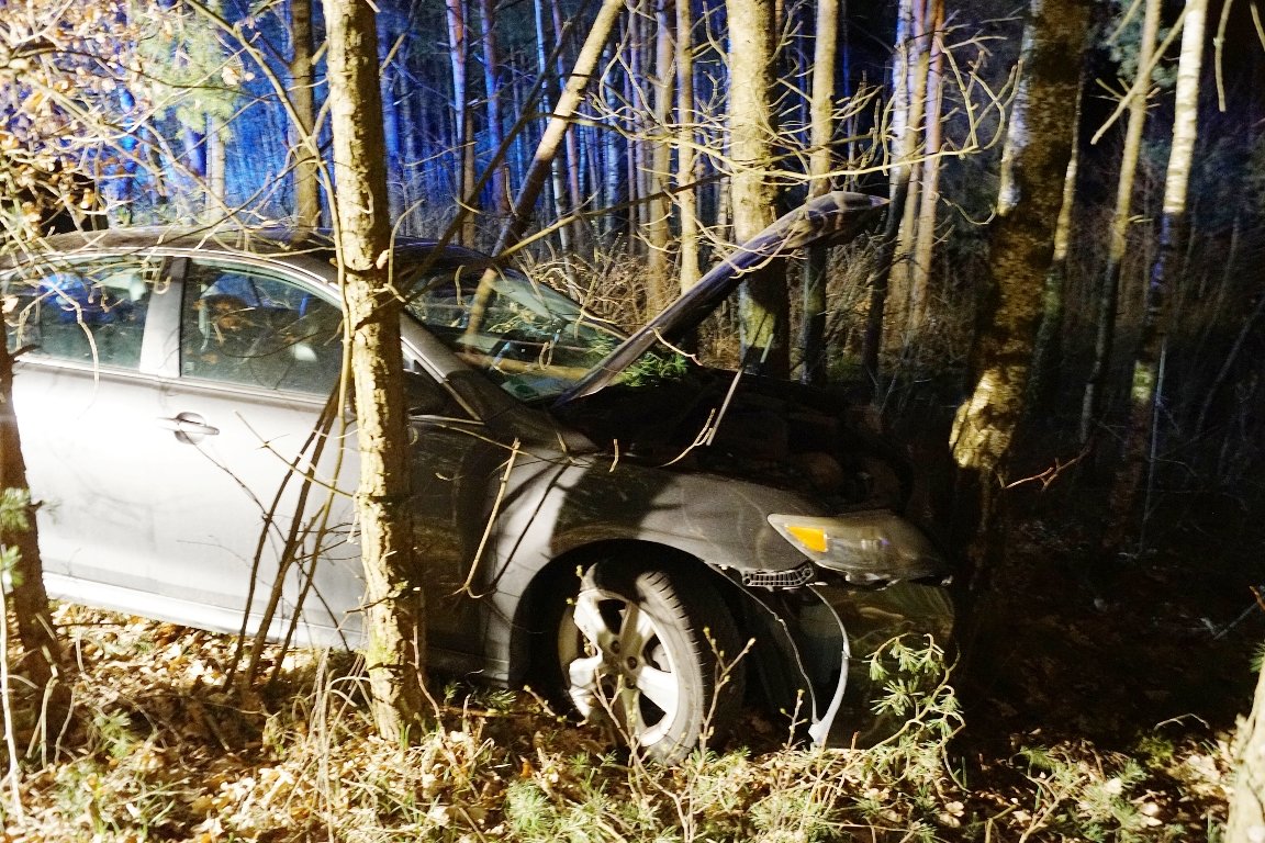Bäume bremsen Autofahrerin