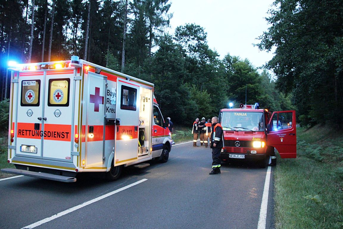 Motorradfahrer nach Zusammenstoß mit Reh schwer verletzt