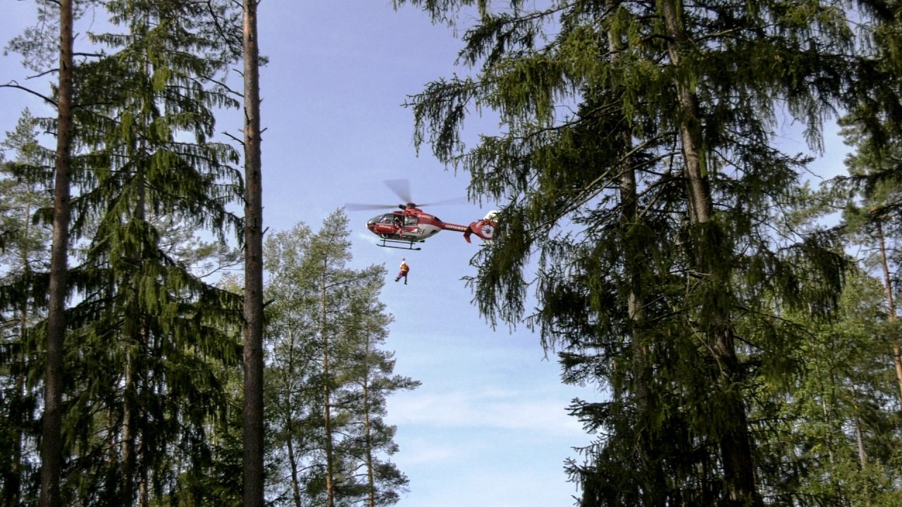 Waldarbeiter bei Aufräumarbeiten schwer verletzt