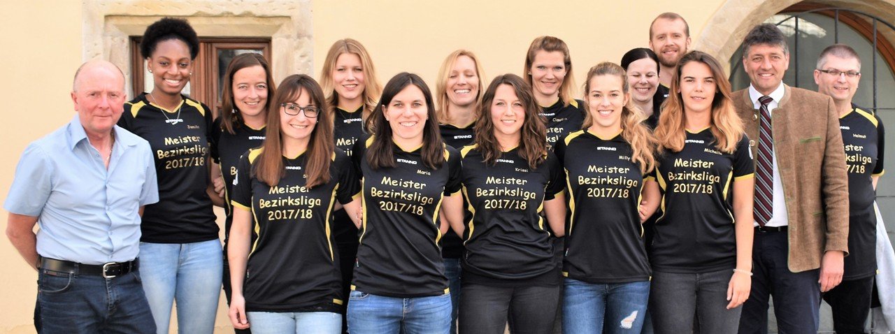 Mit Teamgeist in die Landesliga – Überraschung für Volleyballer