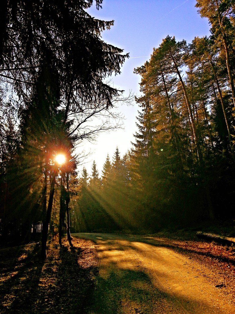 Der Frühling ist zurück – heute zumindest