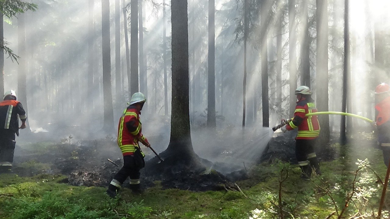 Waldbrandgefahr: Luftbeobachtungsflüge angeordnet
