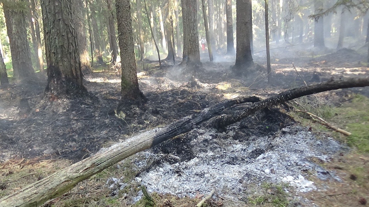 Luftbeobachtung wegen Waldbrandgefahr in Oberpfalz