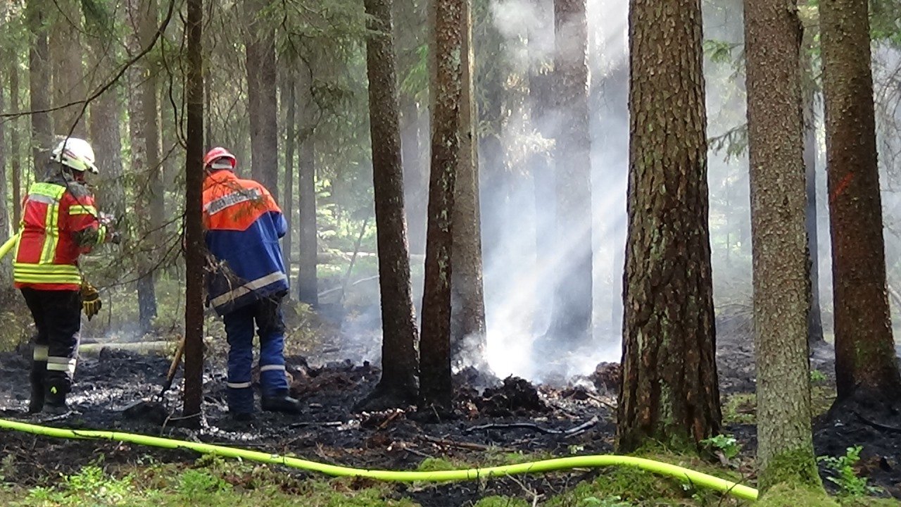 Waldbrandgefahr: Erneut Luftbeobachtungen angeordnet