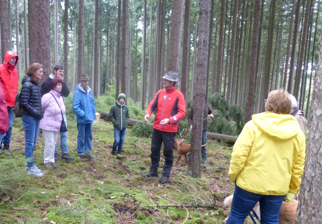 Waldschutz durch Nutzung