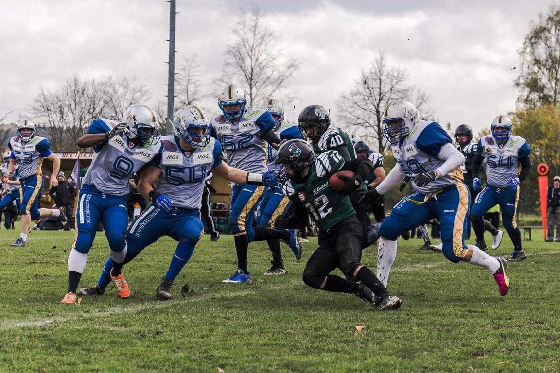 Weiden Vikings sind Meister!