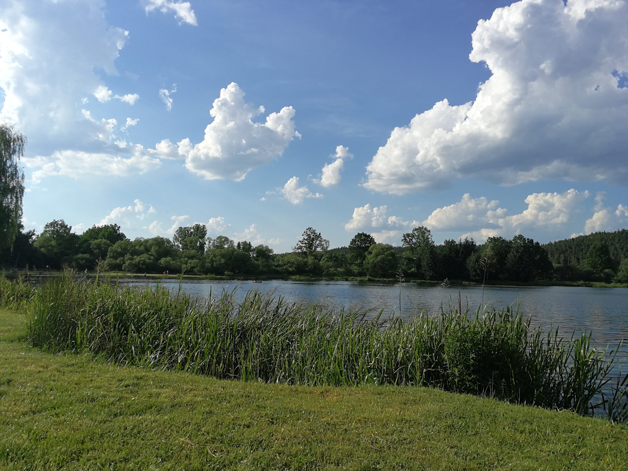 Parkendes Auto am Weiher beschädigt