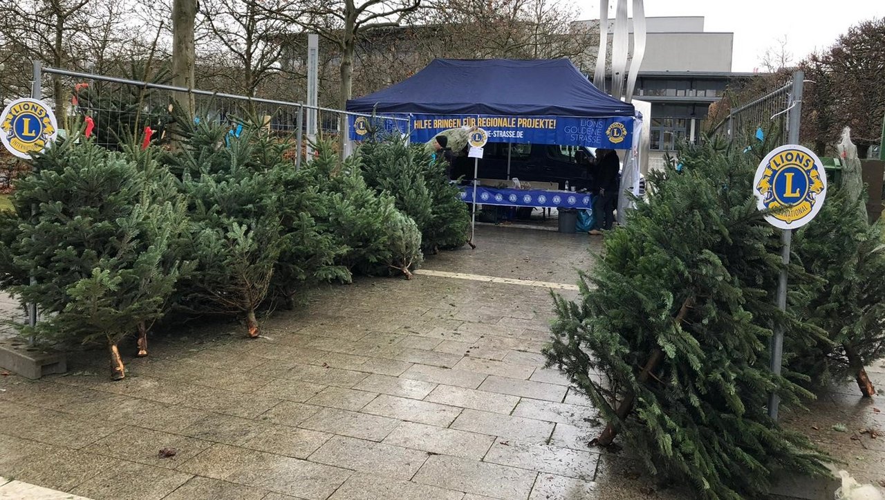 Weihnachtsbaumaktion für einen guten Zweck