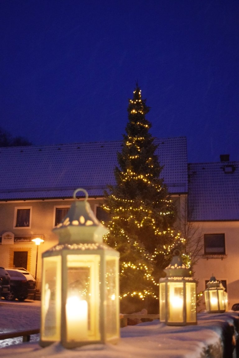 Markt Parkstein sucht Weihnachtsbaum