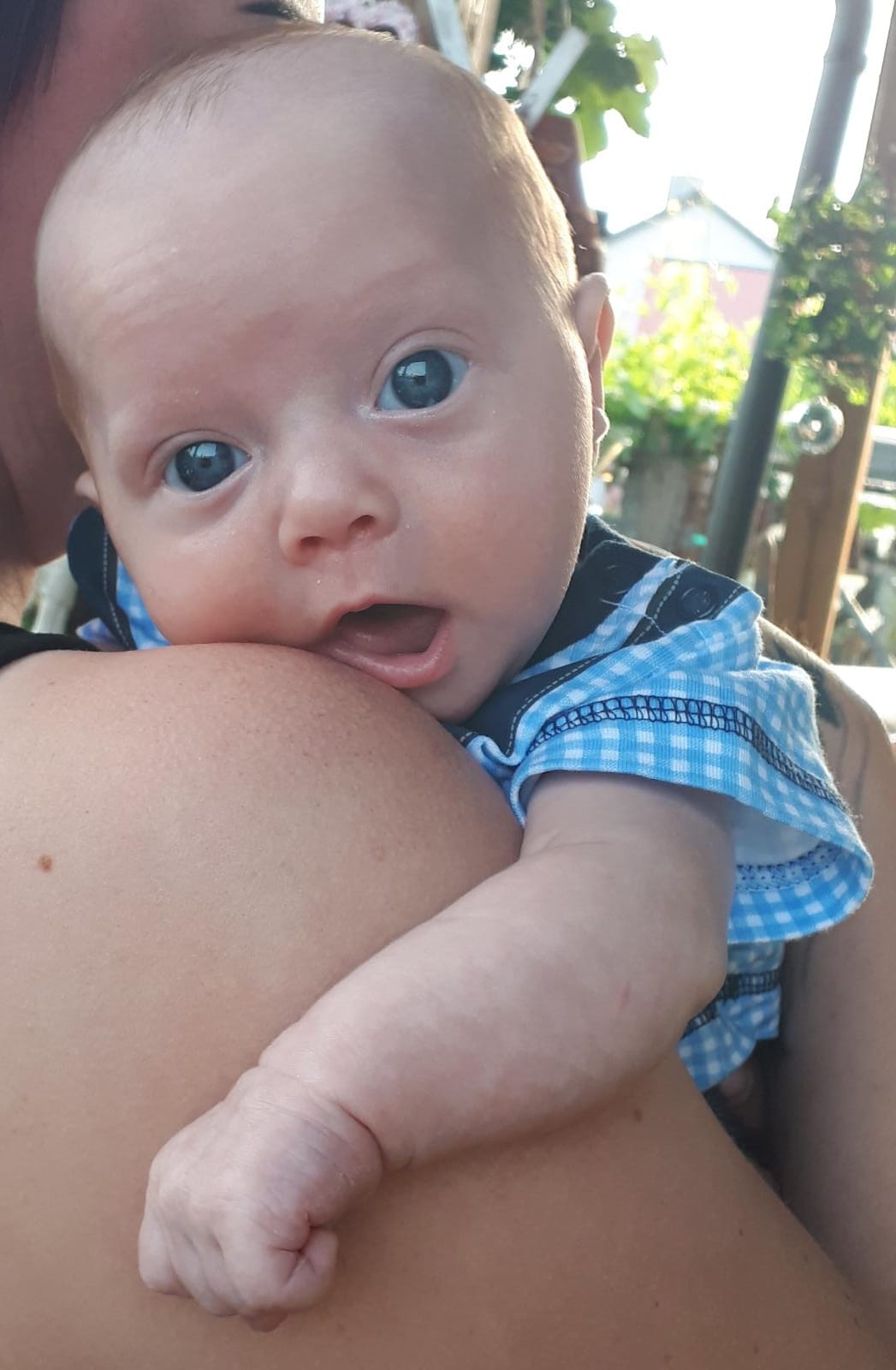 Babys 2019: Kalenderwoche 26