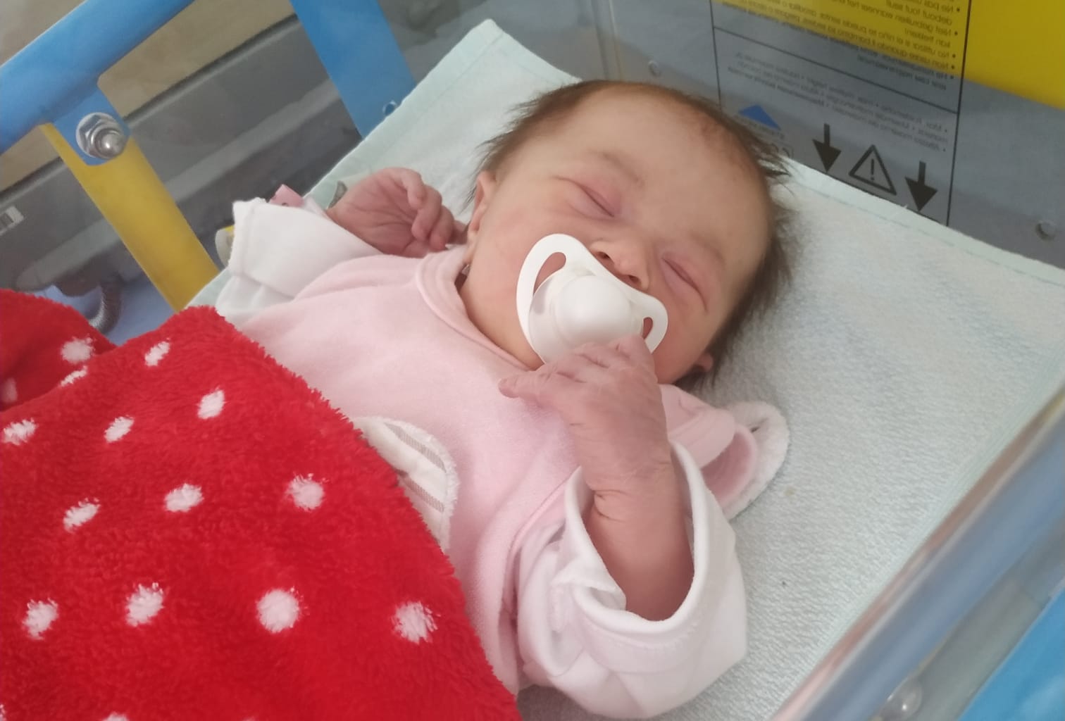 Babys 2020: Kalenderwoche 17