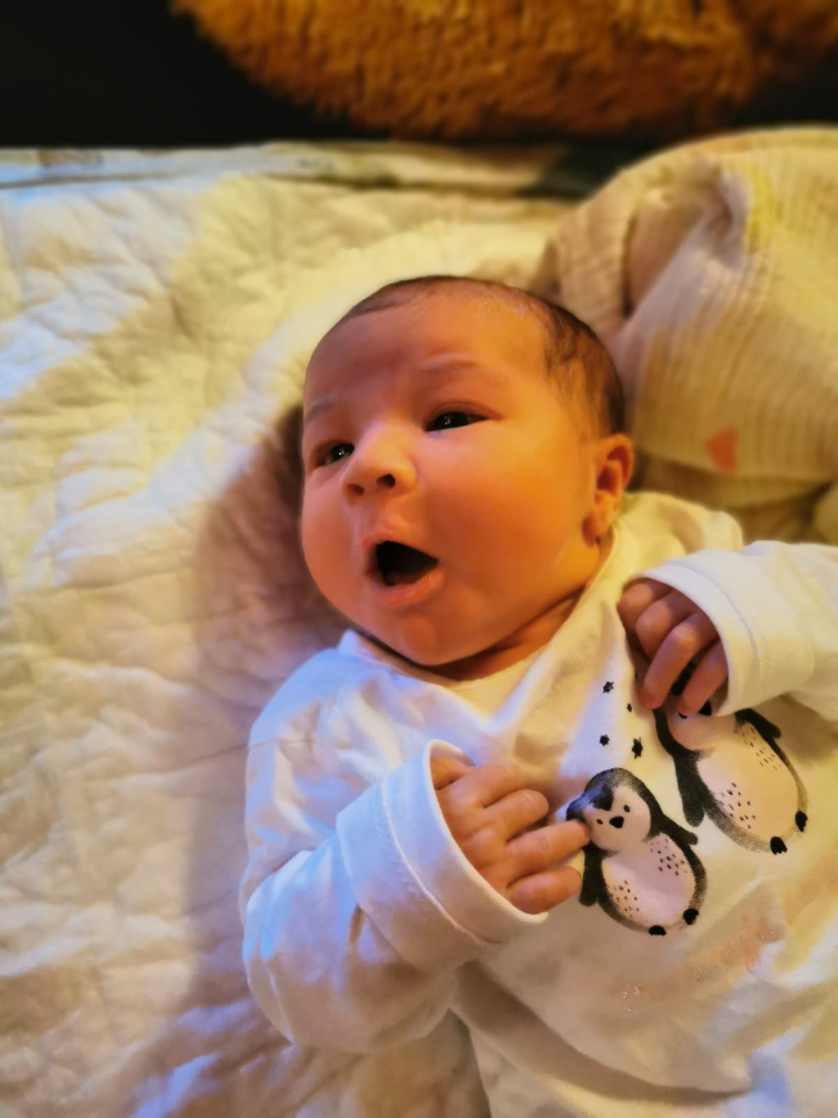 Babys 2020: Kalenderwoche 52
