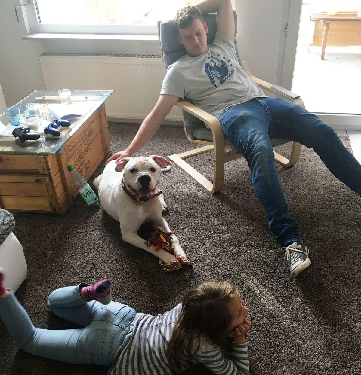 Aus Wilsons Hundekindergarten ins neue Zuhause: Django findet liebevolle Familie