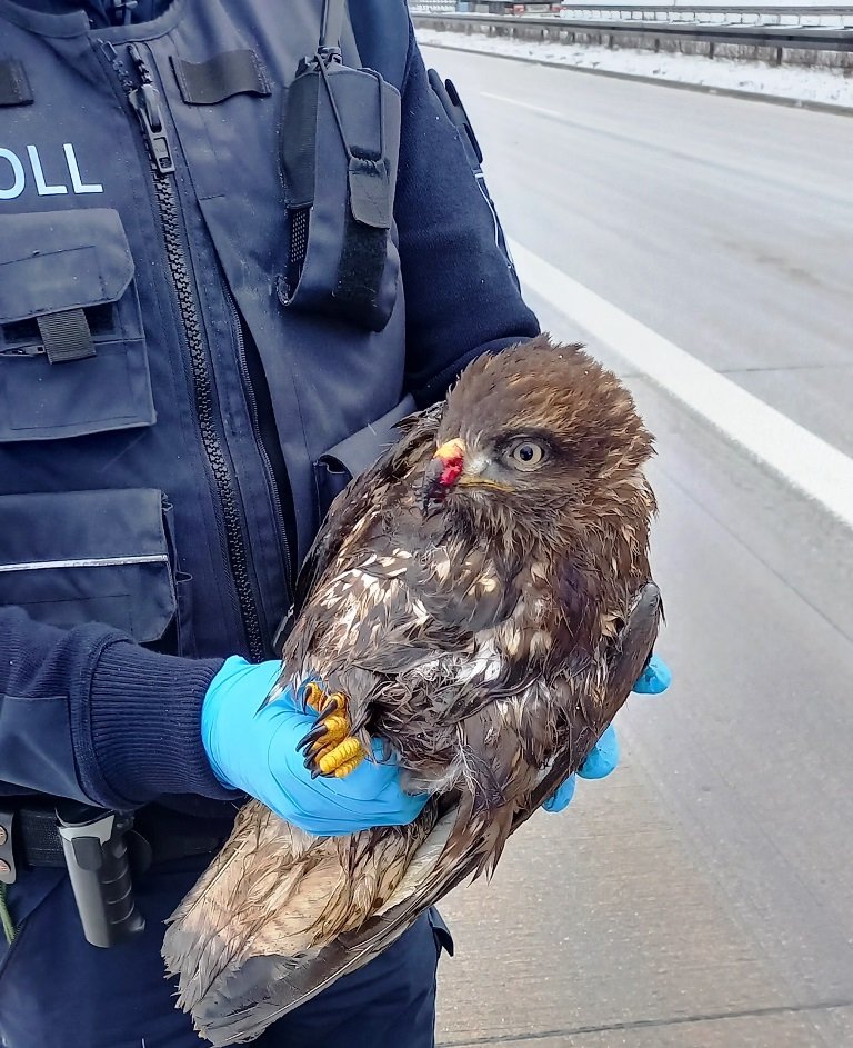 Wenn Zöllner zu Lebensrettern werden