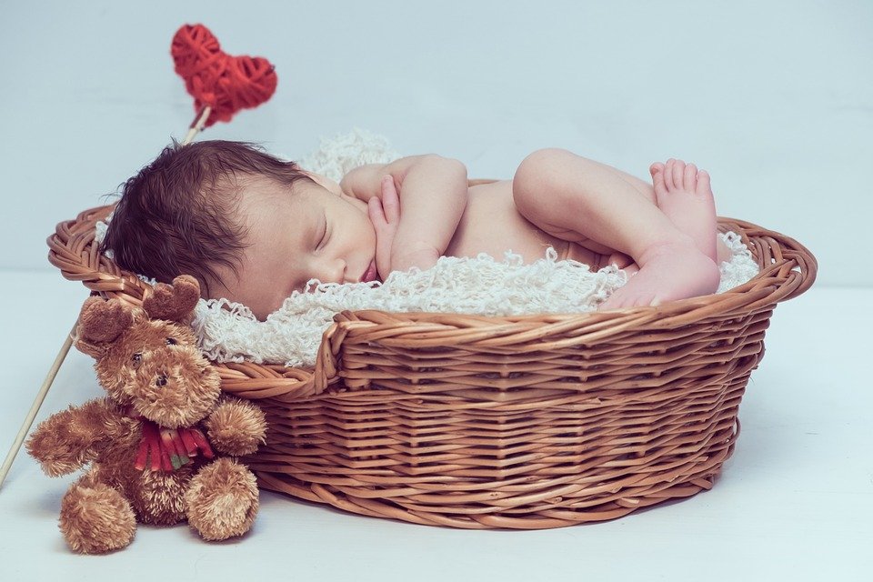 Babys 2017: Kalenderwoche 47