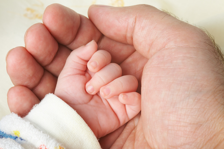 Babys 2017: Kalenderwoche 37