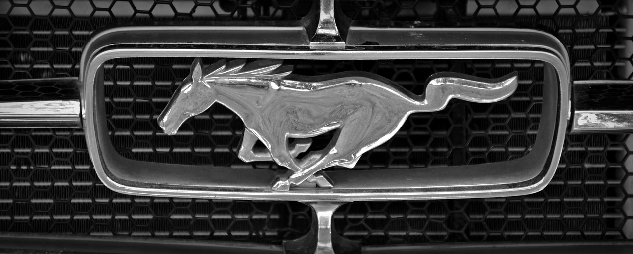 Ford Mustang auf A 93 ausgebrannt