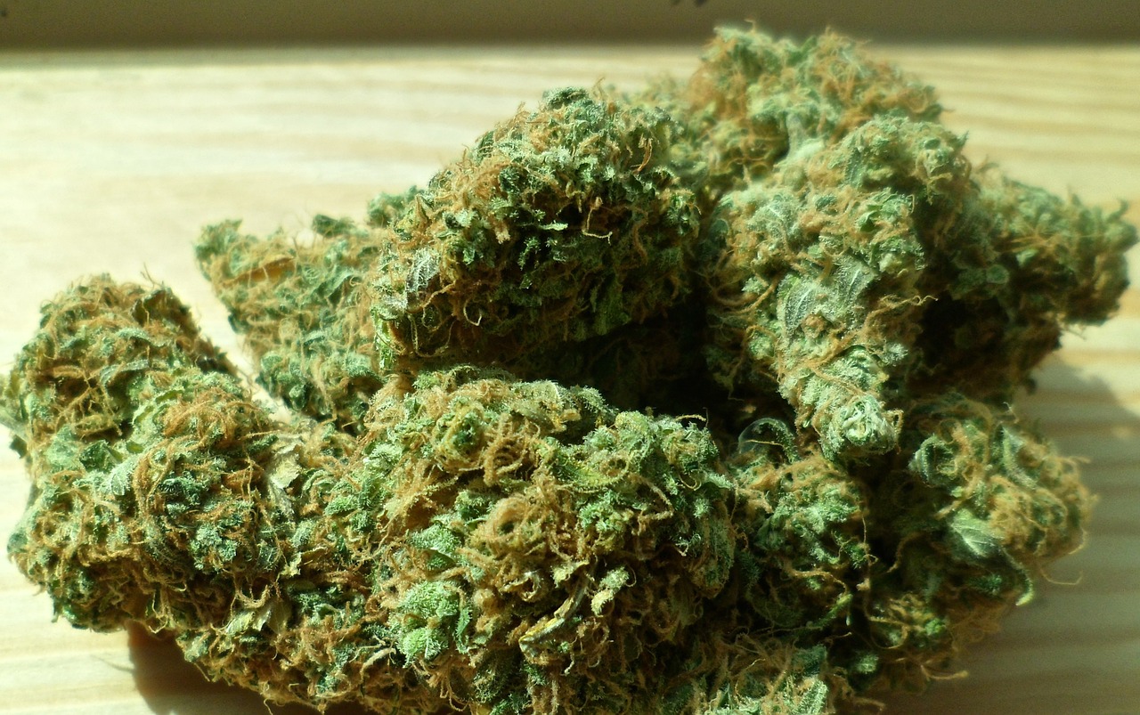 Über 250 Gramm Marihuana sichergestellt: Ermittlungen führen zu Drogenhändler