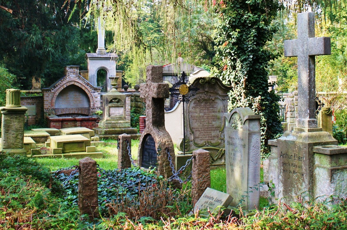 Baumdieb am Stadtfriedhof