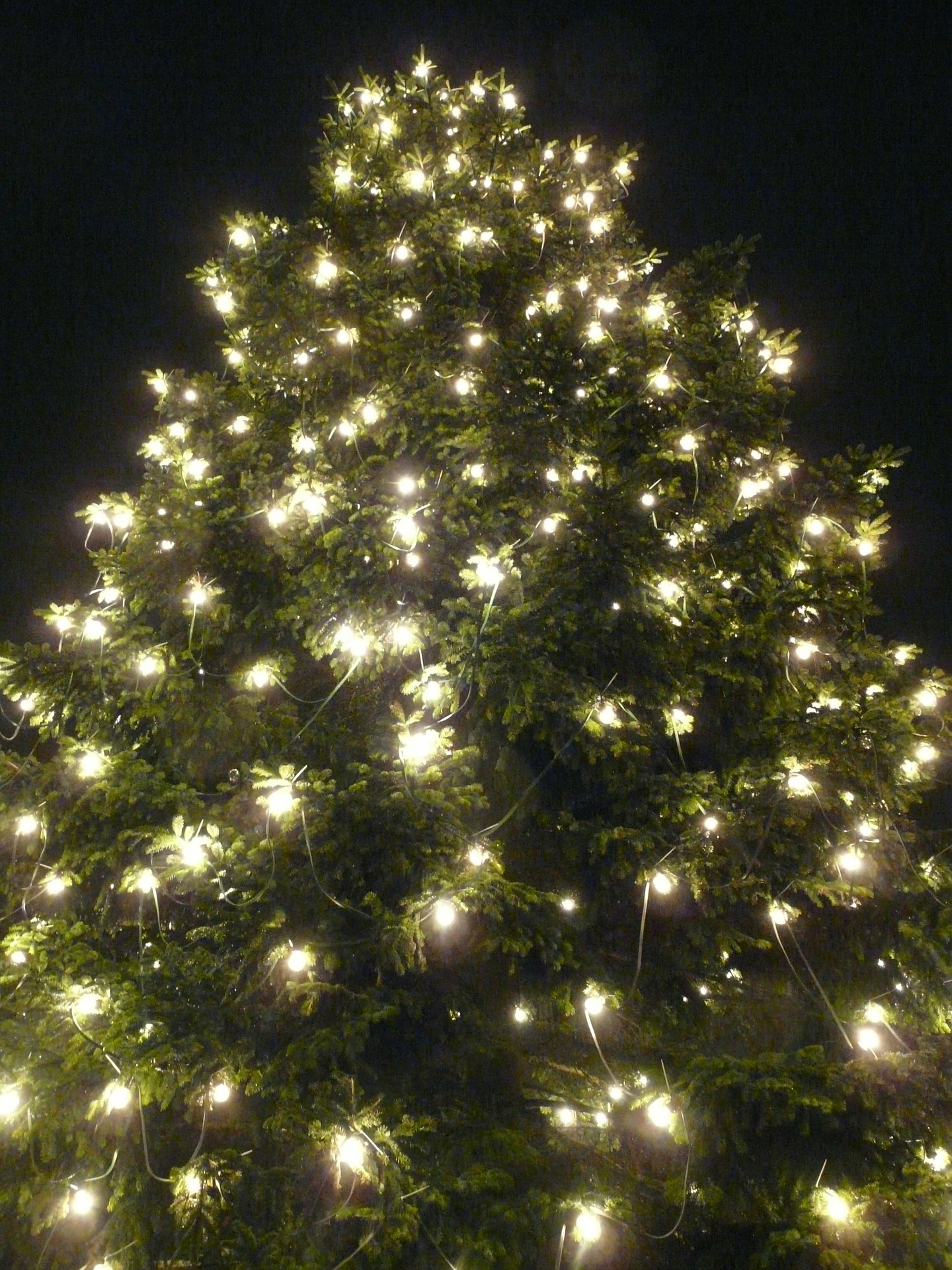 Weihnachtszauber in der Innenstadt