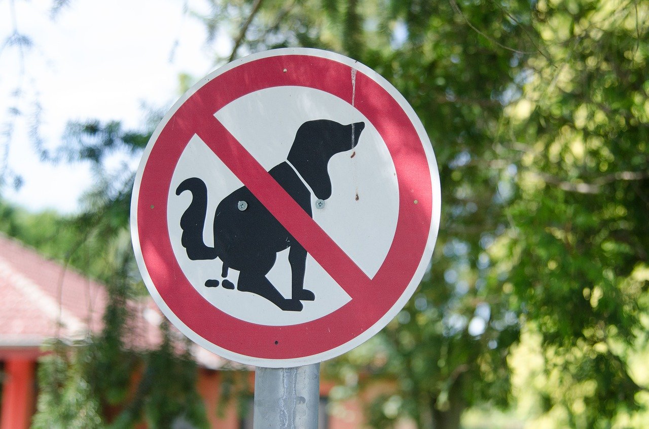 Hundekot macht Ärger